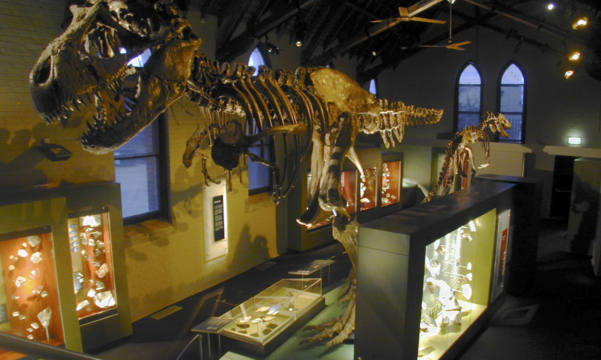 barbermaskine forvirring valse Australian Fossils and Minerals Museum – Thylacine